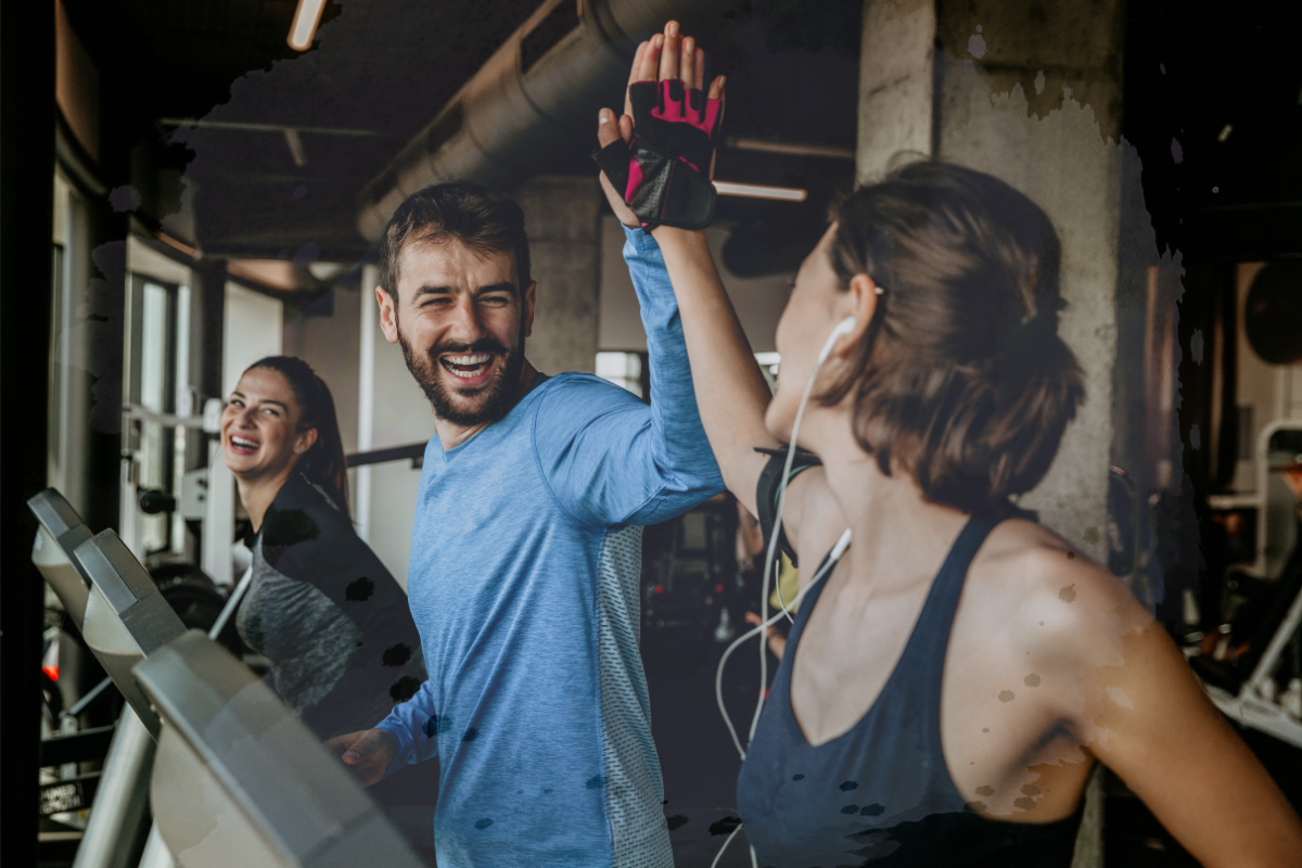 ElevaFitness Dashboard